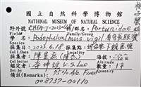 看守長眼蟹藏品圖，第12張