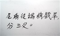 未知種羅司水虱藏品圖，第15張