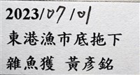 韓氏(粗糙)橙蝦蛄藏品圖，第19張