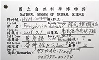 韓氏(粗糙)橙蝦蛄藏品圖，第20張