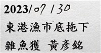 脊尾齒指蝦蛄藏品圖，第17張