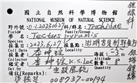 銀塔鐘螺藏品圖，第12張