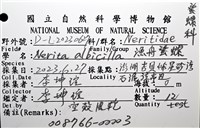漁舟蜑螺藏品圖，第10張