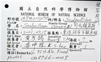 司氏鎧茗荷藏品圖，第12張