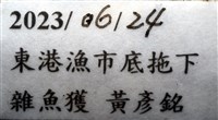 粒毛冠海膽藏品圖，第15張