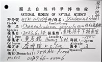 粒毛冠海膽藏品圖，第16張