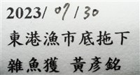 未知種縮頭水虱藏品圖，第9張