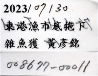 蟹花茗荷藏品圖，第9張