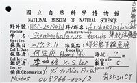 薄殼藤壺藏品圖，第26張