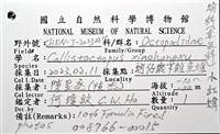 小紅蛸藏品圖，第16張
