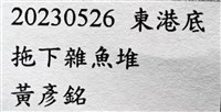 思氏不對稱鰓虱藏品圖，第13張