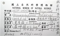思氏不對稱鰓虱藏品圖，第14張