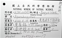逆背阿波羅鰓虱藏品圖，第16張