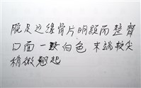 未知種花瘤海星 sp. 02藏品圖，第28張