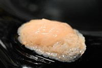 思氏不對稱鰓虱藏品圖，第7張