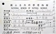 詹姆士巨深水虱藏品圖，第20張