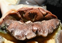 夜光蠑螺藏品圖，第9張
