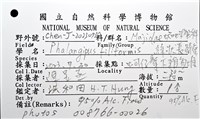 絲狀長踦蟹藏品圖，第12張