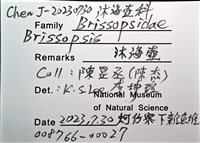 呂宋沐海壺藏品圖，第14張