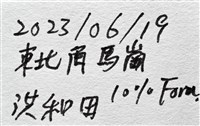 尖棘篩海盤車藏品圖，第29張