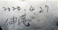 亞氏海豆芽藏品圖，第11張