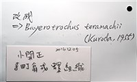 寺町翁戎螺藏品圖，第5張