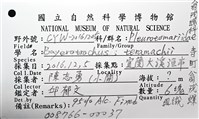 寺町翁戎螺藏品圖，第6張