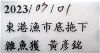 思氏不對稱鰓虱藏品圖，第21張