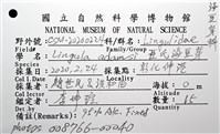 亞氏海豆芽藏品圖，第10張