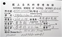 刺柄頭帕藏品圖，第16張
