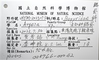 未知種鰓虱藏品圖，第12張