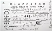 布紋鬘螺藏品圖，第24張