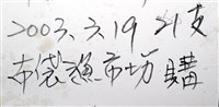 條紋鬘螺藏品圖，第22張