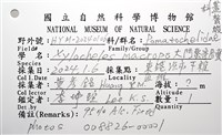 大門螯(大輕石)寄居蟹藏品圖，第18張