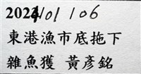 思氏不對稱鰓虱藏品圖，第11張