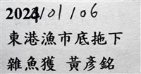 未知種擬對蝦蝦虱藏品圖，第22張