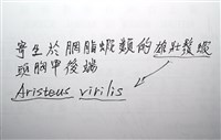 未知種擬對蝦蝦虱藏品圖，第23張