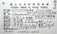 未知種擬對蝦蝦虱藏品圖，第24張