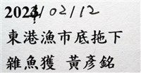 黃海毛蟲藏品圖，第15張