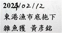 扁平多囊蟹奴藏品圖，第11張
