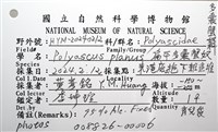 扁平多囊蟹奴藏品圖，第12張