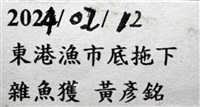 未知種沙蠶藏品圖，第7張