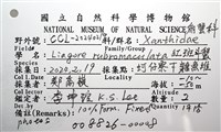 紅斑斗蟹藏品圖，第14張