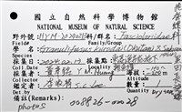 黑田長旋螺藏品圖，第10張