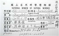 雙斑蟳藏品圖，第12張