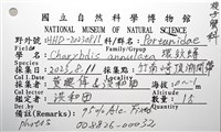環紋蟳藏品圖，第12張