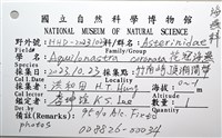 花冠海燕藏品圖，第16張