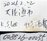 九齒扇蝦藏品圖，第23張