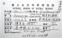 輻星肛海膽藏品圖，第14張
