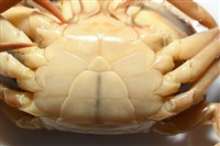 晶瑩蟳藏品圖，第9張